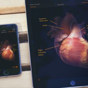 Custom App Development - CardioSmart Explorer - American College of Cardiology
