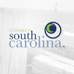 Logo design for Connect South Carolina.